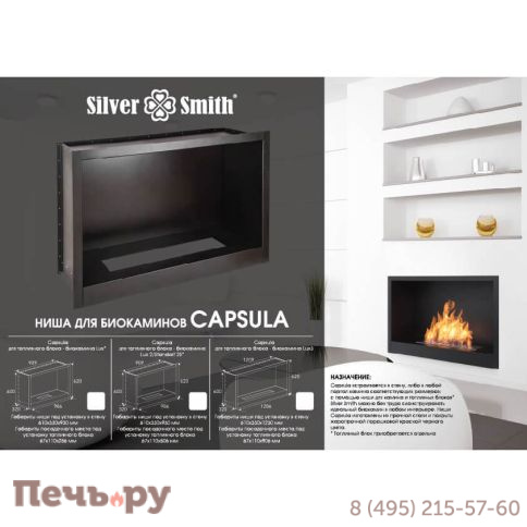 Биокамин Silver Smith Capsula Exclusive 1100 (ниша+топливный блок) фото 4