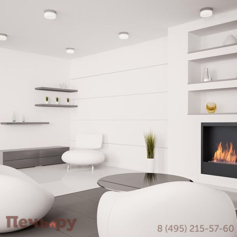 Биокамин Silver Smith Shell (ниша+топливный блок) фото 3