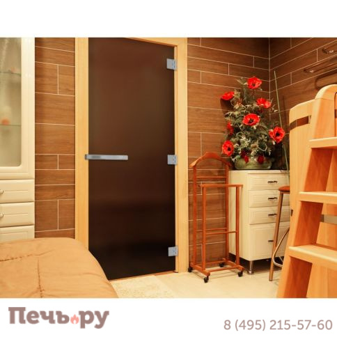 Дверь DoorWood Эталон Лайт Матовая Бронза 1900x700 (стекло 8мм) фото