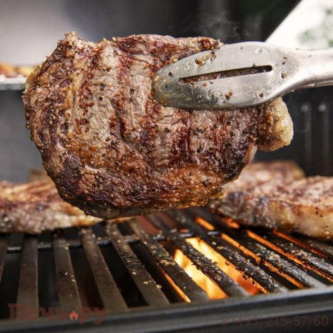 Газовый гриль Weber Genesis E-315 фото 6