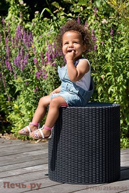 Столик-холодильник Gardeck Кул-Стул (Cool stool) графит фото 4